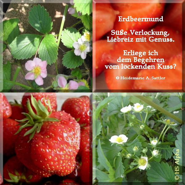 Erdbeeren - Foto und Lyrik von Heidemarie A. Sattler